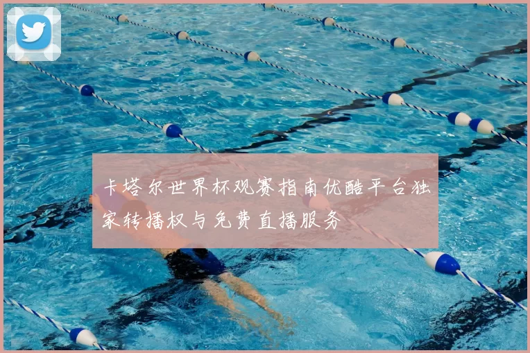 卡塔尔世界杯观赛指南优酷平台独家转播权与免费直播服务