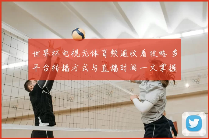 世界杯电视无体育频道收看攻略 多平台转播方式与直播时间一文掌握