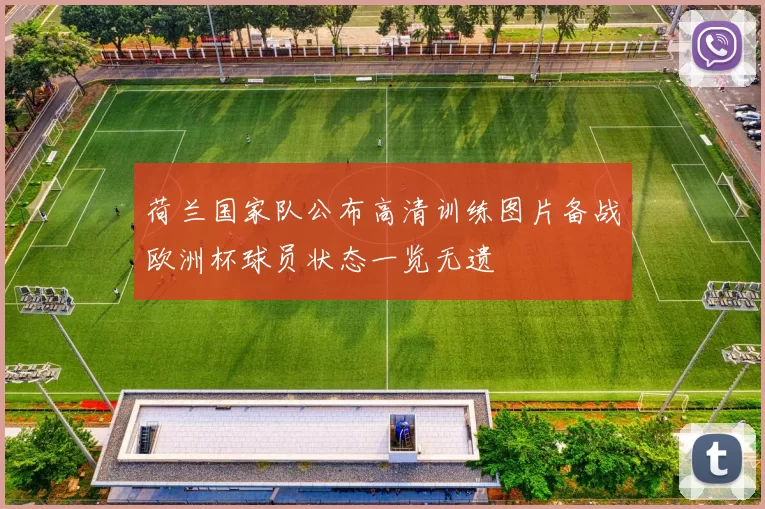 荷兰国家队公布高清训练图片备战欧洲杯球员状态一览无遗