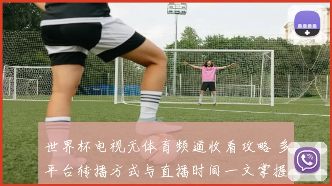 世界杯电视无体育频道收看攻略 多平台转播方式与直播时间一文掌握